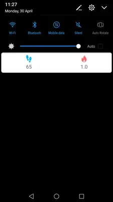 Pedometer android App screenshot 5